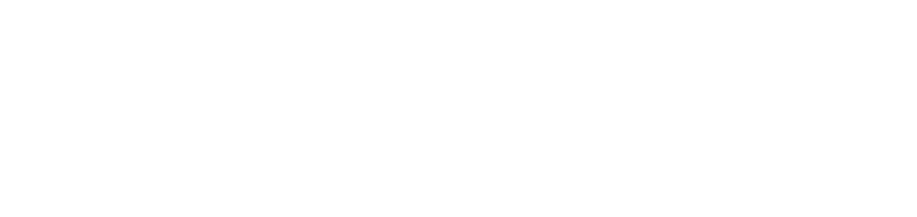 Megaport Logo